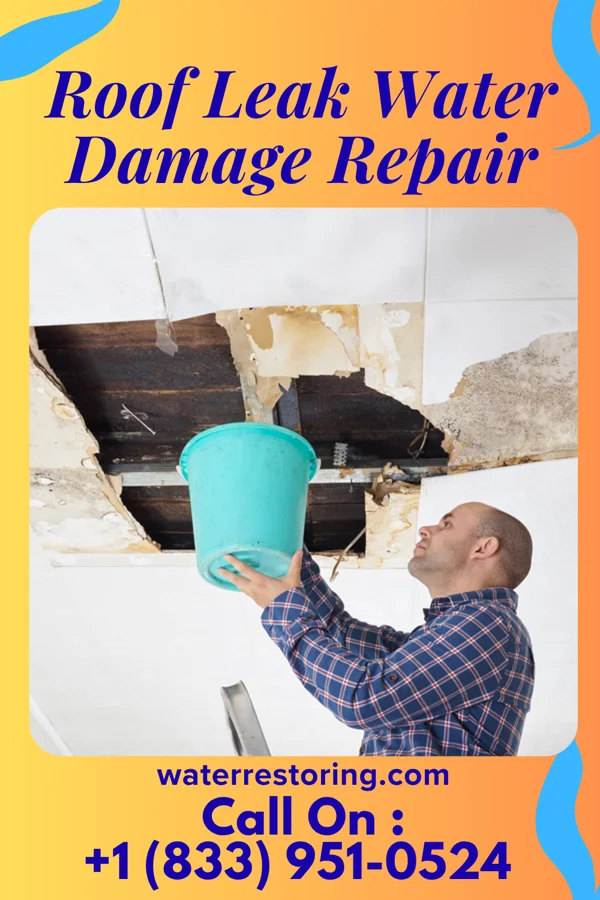 Roof Leak Water Damage Repair in Mount Zion, IL