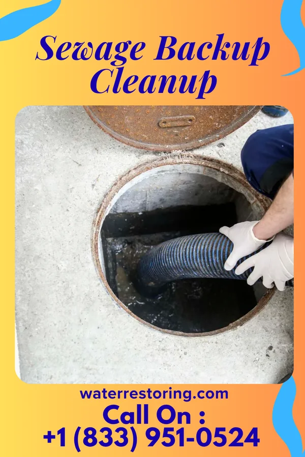 Sewage Backup Cleanup in Mount Zion, IL